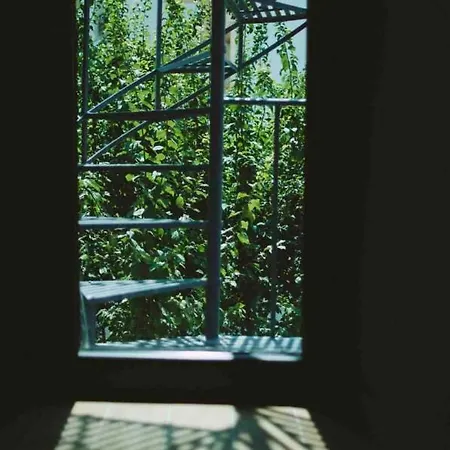 Дом отдыха A Hidden Gem In *luxury Home* *